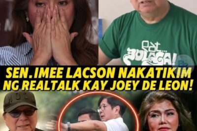 JOEY DE LEON BINUKING SI IMEE MARCOS?! — Isang Rebelasyong Nagpagulo sa Publiko
