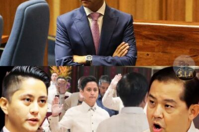 KONGRESO NAYANIG, SANDRO ANG LILINIS SA KONGRESO?!