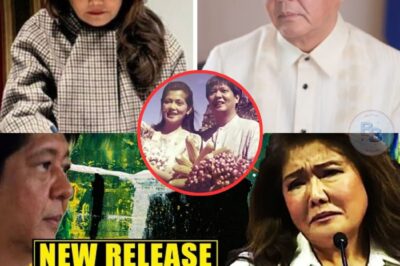 Awiting Dumurog sa Puso ng mga Walang Puso: Ang Himig na Gumising sa Lihim ng Pamilya