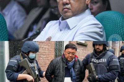 Harry Roque, Aarestuhin Na! Ang Nakakagulat na Kwento sa Likod ng Kontrobersyal na Pag-aresto