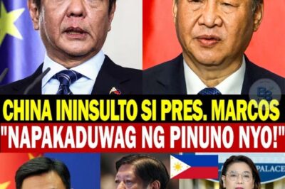 CHINA ININSULTO SI PANGULONG BONGBONG MARCOS JR. “WAG NA MANGARAP NA MANANALO LABAN SA CHINA!”
