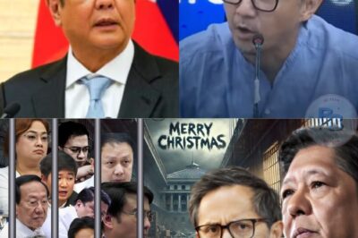 MAKUKULONG NA!? DISCAYA, Sen. Jinggoy? Sen. Villanueva? at 60 Na OPISYAL AT ILANG MGA POLITIKO!?