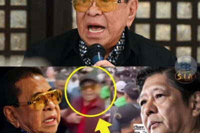 Pagkatapos ng Isang Matapang na Hakbang: Ang Di-Inaakalang Twist sa Kuwento nina Chavit at PBBM