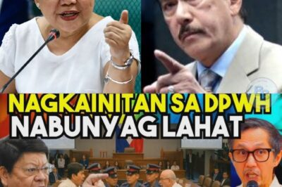 Senado, Nagkaguluhan! Hindi Inaasahang Eksena Umani ng Pansin sa Mainit na Pagtatanong