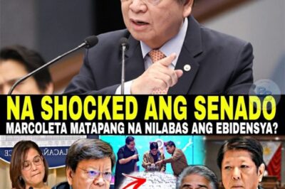 BIG NEWS: ANG DOKUMENTONG YUMUGYOG SA PALASYO – ANO ANG TUNAY NA NILALAMAN NITO? Isang FICTIONAL Investigative Thriller