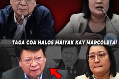 BIGLANG NABUNYAG ANG KATOTOHANAN: ANG KADILIMAN SA LIKOD NG MAKINIS NA NGITI NI SENADOR X