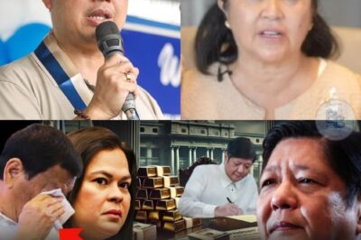 Ang Pagbulgar: Ang 100B na Lihim na Nagpayanig sa Buong Kapitolyo