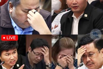 Mag-asawang Discaya, Napaiyak sa Rebelasyong Inihayag ni Engr. Hernandez — Isang Kuwentong Yumanig sa Buong Komunidad