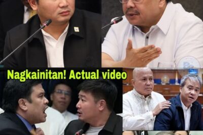 Nagliyab ang Senado: Ang Mainit na Sagupaan nina Jinggoy Estrada at Engr. Hernandez na Nagpayanig sa Buong Kamara