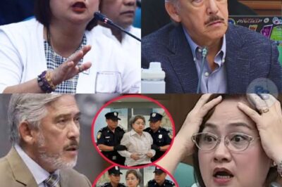 Sarah Discaya, Dinampot ng Kapulisan sa Pamamahay Nito! Tito Sotto, Nagbunyi sa Nalalaman; BBM at Bato May Reaksyon