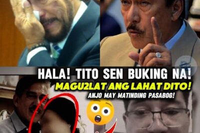 Tito Sen Exposed: Ang Lihim na Skandalo na Yumuyuko sa Pulitika at Showbiz