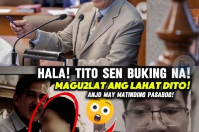 Ang Lihim ni Tito Sen: Isang Skandalo na Yumanig sa Mundo ng Pulitika at Showbiz