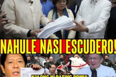 GRABE ‘TO! Biglang Kumalat Kagabi ang Classified Leak na Umano’y Magpapabagsak sa Isa sa Pinakamakapangyarihang Tao sa Bansa — Ayon sa Insider, May Video Raw na Hawak ng Ombudsman na Hindi Pa Inilalabas sa Publiko! 😱 Mismong si PBBM Napaupo Nang Marinig ang Pangalan ni Bong Go Sa Gitna ng Imbestigasyon, Habang Si Vince Dizon Biglang Nagsumite ng Affidavit na Nagpaiikot sa Buong Palasyo! Pero Ano Nga Ba Talaga ang Laman ng Dokumento, At Bakit May Mga Opisyal na Biglang Naglaho Pagkatapos ng Pulong Kagabi?! 😨 Lahat ng Sekreto at Rebelasyon, Eksklusibo sa Buong Kwento Ngayon!