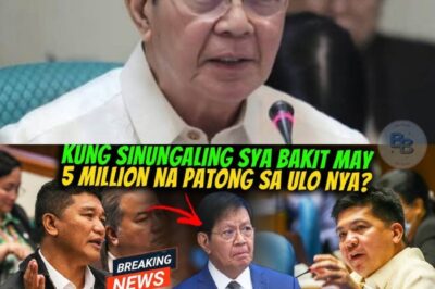 NAGKAGULO SA HEARING: Ang Lihim ni GUTEZA at ang Bintang na yumanig sa Kongreso!