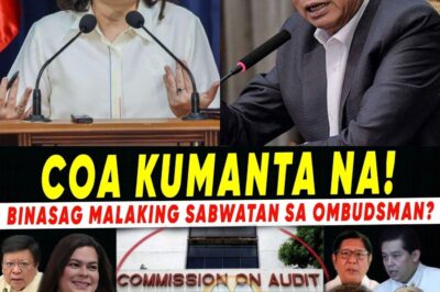 Ang Anatomy ng Isang Politikal na Storm: Matapos Linisin ng COA ang OVP, Ang Publikong Pagsisiyasat Ngayon Ay Nakatutok Sa Ombudsman—At Sa Malalaking Bilyon ng Pondo para sa Pagbaha, Ano ang Lihim na Nakatagong Behind the Scenes?