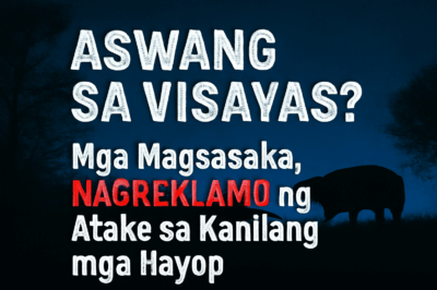 ASWANG SA VISAYAS? Mga Magsasaka, NAGREKLAMO ng Atake sa Kanilang mga Hayop!
