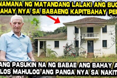 Ang Lihim sa Ilalim ng Aklatan