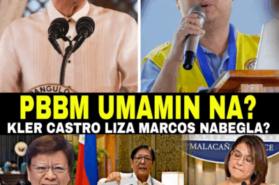 PALASYO AT SENADO, SHOCKED SA NAGLABAS NA EBIDENSYA—JUNYOR BISTADO, NAPA-AMIN ANG 100B INSERTIONS!❗ Zaldy Co, KLER LIZA MARCOS, ANO ANG KONEKSYON?