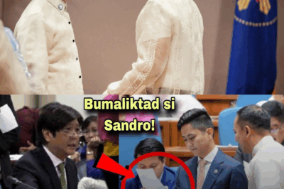 Bongbong Marcos, NAMUTLA sa NILABAS na EBIDENSYA ni Sandro Marcos! NAGKAGULO SA SENADO!Bakit nga ba nagka-dipagkakaintindihan ang mga Marcos sa gitna ng isyung ito?