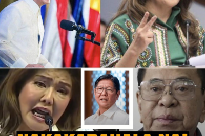 IMEE MARCOS VS PBBM? ISANG MALAKING PLOT POLITICAL SAGA, NAGBABANTANG PASABUGIN ANG PALASYO!