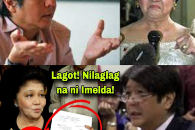 IMELDA Marcos, NILABAS ang EBIDENSYA laban kay BONGBONG Marcos! MGA NINAKAW ni BBM BULGAR NA!