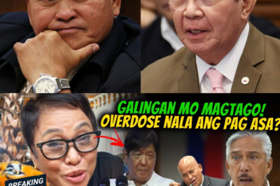 PING LACSON BINULGAR ANG LIHIM NA PAG-UUSAP NILA NI SEN BATO! OVERDOSE NA BA ANG PAG-ASA NG BAYAN?