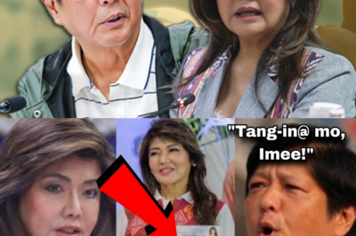 Nag-alburuto si Bongbong Marcos! Imee Marcos, Binanggit ang Kontrobersyal na Pagpapalit ng Apelyido!