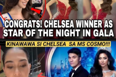 CHELSEA FERNANDEZ, KINASTIGO ANG PAGGAMIT NG MS COSMO SA BOTOHAN!