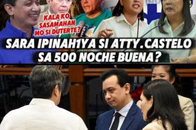 SARA DUTERTE, BINUKING ANG KINIKILIGAN NI ATTY. CASTELO! TRILLANES AT SEN. PING, HINDI NAGPATAWAD KAY SEN. BATO!