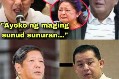 Martin ROMUALDEZ, HINDI NAKAPIGIL SA PAGSABOG NG EBIDENSYA! KINALABAN SI BONGBONG MARCOS, Liza Marcos KASAMA SA ISYU!