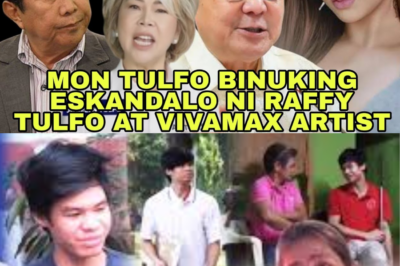 AFFY TULFO, ISINUSULONG ANG ISKANDALONG MAY ARTISTA NG VIVAMAX! RAMON TULFO, SHOCKING NA PAGSISIYASAT!