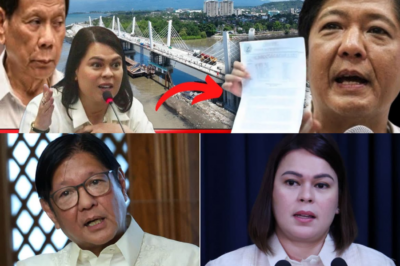 VP Sara Duterte, Binasag ang Katahimikan sa Bucana Bridge Isyu sa Davao! PBBM, Inalmahan ng Netizens!