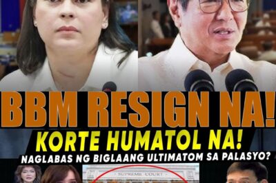 MARCOLETA – IMEE CONFIRMED: Biglaang Desisyon ng Korte, Palasyo Nayanig—Simula na ba ng Pagbagsak?