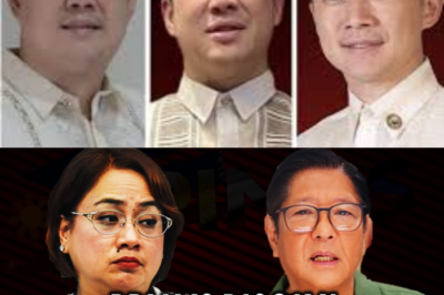 Freeze Order Para Kay Sara Discaya, Congressman Eric Yap at Edvic Yap! Court of Appeals Nagdesisyon!