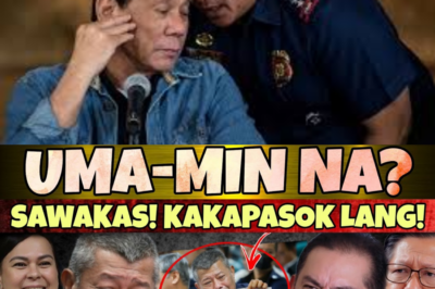 UMAMIN NA! KAKAPASOK LANG: BREAKING NEWS! HALA REMULLA! GRABE ANG SHOCKING NA REVELASYON!