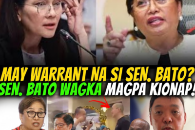 ADJIK, NALOKO NI ATTY GUANZON? HARRY ROQUE, MAY BILINA KAY SEN BATO TUNGKOL SA ISYU!