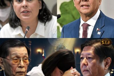 KAILANMAN AY HINDI INASAHAN! Nagulat ang lahat sa genius advice ni Chief Presidential Legal Counsel Juan Ponce Enrile