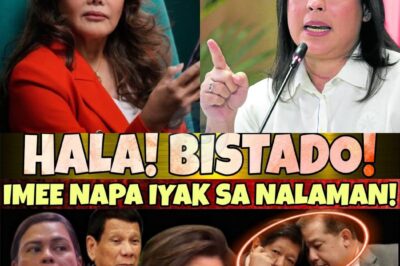 ANG PINAKA-HIHINTAY NA EBIDENSYA, LUMANTAD NA! Hindi raw ang First Lady ang tunay na dahilan!