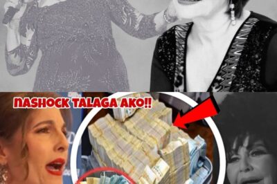 Nakakagulat! Pilita Corrales May Itinatagong Sikreto sa Loob ng Kwarto Niya – Laman ng Cabinet, KinaWindang ang Buong Internet!