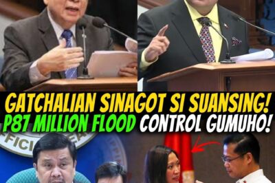 SUMABOG SA PAGDINIG! Gatchalian Sinagot si Suansing nang Harapan — Hearing nina Sen. Jinggoy at Sen. Marcoleta Nauwi sa Tensiyon, Sigawan at mga Rebelasyong Hindi Inasahan ng Publiko!