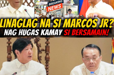 Bersamin, LINAGLAG SI MARCOS JR! BUONG KWENTO NG NAGKAKABUKINGAN, PING LACSON AT BOYING NASUPLAK NI LUKAS BERSAM!