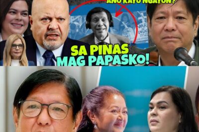 YES! FINALLY! HETO NA! Isang Pasabog na 1CC Update ang Lumabas—Isang Rebelasyon na Ikatutuwa ng DDS at Yayanig sa Mundo ng Pulitika!