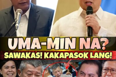 🔥 MATINDING INGAY ONLINE! GRABE! Kumakalat ang balitang umano’y may “pag-amin” daw na biglang lumabas