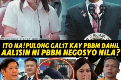 PBBM AALISIN NA ANG NEGOSYO NG MGA DUTERTE | SARA NAKIUSAP NA HUWAG IDAMAY, BATO PUMUNTA SA BJMP!