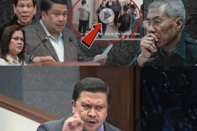 VIDEO HULE SA TOREE! Sen. Jinggoy ALAS, BINUKING ANG DU30 CONNECTION—SENADO, PINABALIK SI PRRD!