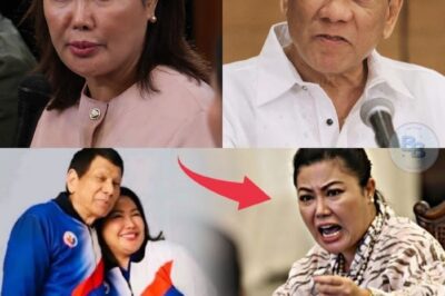 YARE! Isang Mainit na Sagutan ang Umusbong sa Gitna ng Cebu: Ano ang Tunay na Ugat ng Pahayag ng Gobernador Tungkol kay Pangulong Rodrigo Duterte?