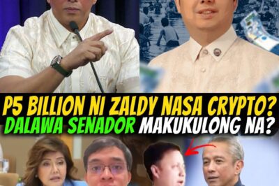 GRABE TO THE MAX! ZALDY TINAKBO NGA BA ANG P5 BILLION PESOS? SA GITNA NG BULUNG-BULUNGANG PAGTAKBO NI JONVIC SA PAGKA-PRESIDENTE, ANG KATOTOHANANG ITO AY POSIBLENG MAGPABAGSAK SA ISANG DYNASTIYA!