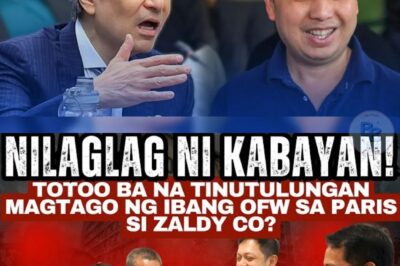 Nilaglag ni KABAYAN! Totoo ba na TINUTULUNGAN MAGTAGO ng ibang OFW sa Paris si Zaldy Co?