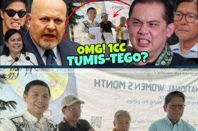 MATUTUWA NGA BA ANG MGA DDS? JUST NOW! Isang Pangalan ang Lumulutang sa Likod ng Isang UMANONG Malaking Isyu — Martin, Kakasuhan Na Ba o Isa Lang Bang Malaking Laro sa Pulitika?