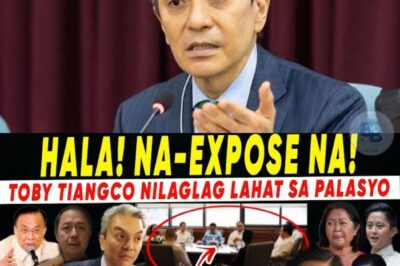 TOBY TIANGCO NAGBUKAS NG KAHONG ITIM: MGA LIHIM NG PALASYO LUMUTANG MATAPOS ANG PASABOG NA AUDIO LEAK!